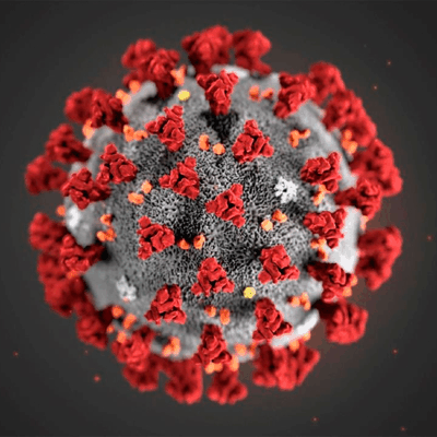 SARS-CoV-2 Cell
